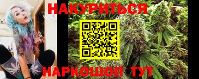 apvp Обнинск