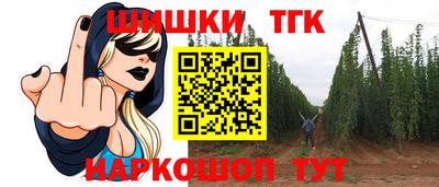 Альфа ПВП Обь