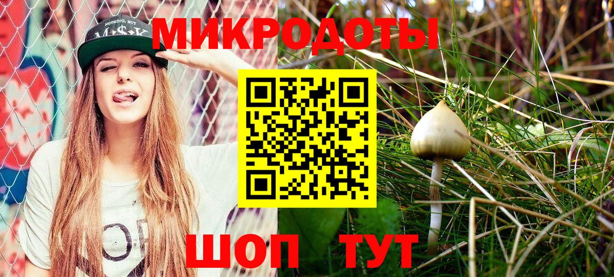 Ростов Великий  Псилоцибиновые грибы Magic Shrooms  Вход с VPN 