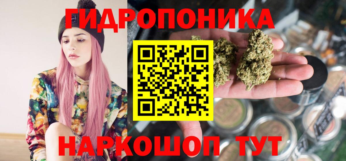 Канабис сатива  Каннабис ГИДРОПОН  Ростов Великий  Вход с VPN 